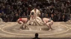 Toyozakura's Fighting Style