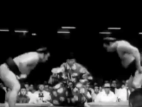 Kashiwado's Fighting Style