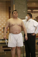 Kinbozan gets measured upon joining sumo (c. 2021)