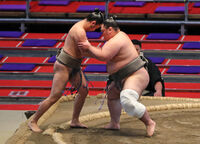 Mifuneyama defeats Shonanzakura (c. 2021)