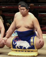 Homarefuji during his time in Maezumo (c. 2008)