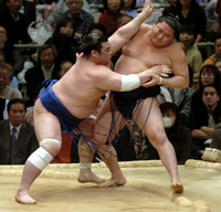Tamakasuga pushes out and defeats Tokitenku (c. 2006)