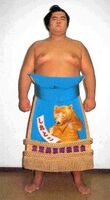 Tatsuhikari with his kesho-mawashi