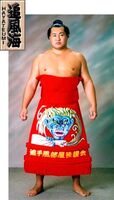 Hayateumi Hidehito - 2001 (Retrieved from the Nihon Sumo Kyokai)
