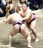 HiradoumiTobizaru2024