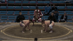 Hoshuzan's Fighting Style 2