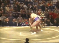 Kyokushuzan's Fighting Style