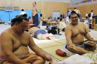 Tamaasuka with stablemate Tamawashi (c. 2014)