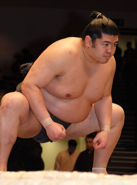 Tamadaiki-main