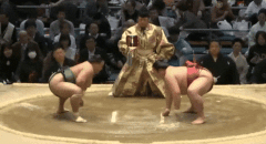 Asahisho's Fighting Style 2