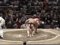 Sumanofuji's Fighting Style