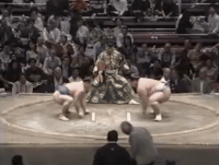 Ushiomru's Fighting Style
