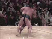 Wakanojo's Fighting Style