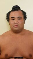 Wakanoshima Fumiya - 2014 (Retrieved from the JSA)