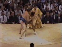 Kyokudozan's Fighting Style