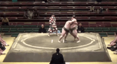 Mitotsukasa's Fighting Style