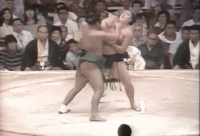 Wakashimazu's Fighting Style