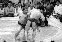 Konuma loses to Fujizakura (c. 1982)