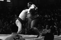 Hakuryu pushes out Hawaiian Takamiyama (c. 1984)