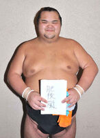 Higoarashi wins his second Makushita Yusho (c. 2014)