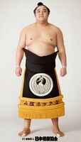 Okinoumi Ayumi - 2014 (Retrieved from the JSA)