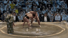 Terutsuyoshi's Fighting Style 2
