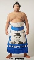 Takayasu Akira - 2013 (Retrieved from the JSA)