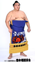 Mitakeumi Hisashi - 2024 (Retrieved from the JSA)