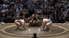 Onosato's Fighting Style 3