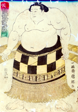 Lunar Wing - Toki o Koeta Seisen (Japan) - L - Retromags