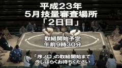 Azumao's 2 Fighting Style
