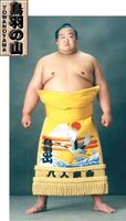 Towanoyama Yoshimitsu - 2002 (Retrieved from the JSA)