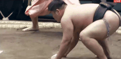 Ikarigata's Fighting Style