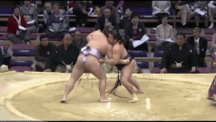 Dewahayate Fighting Style