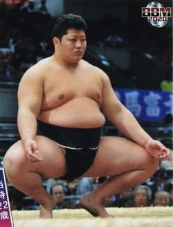 Endo Shota | Sumowrestling Wiki | Fandom