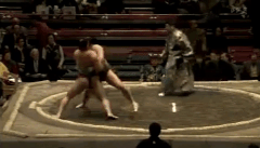 Hoshihikari's Fighting Style