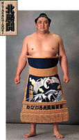Kitakachidoki Hayato - 1997 (Retrieved from the JSA)