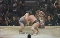 Oyutaka's Fighting Style
