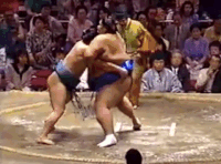 Wakatosho's Fighting Style