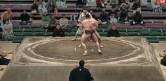 Daikisho's Fighting Style