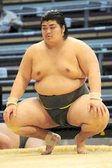 Hamaguchi2013