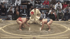 Kotoeiho's Fighting Style
