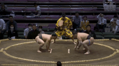 Toshunryu's Fighting Style 2