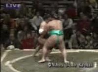 Daishodai's Fighting Style