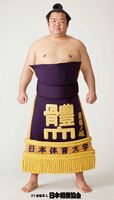 Higonojo Masakazu - 2014 (Retrieved from the JSA)