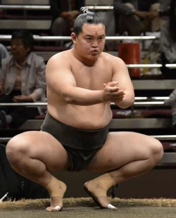 Hirotsukasa Kodai | Sumowrestling Wiki | Fandom