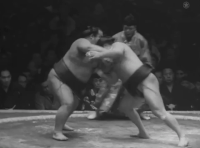 Kairyuyama's Fighting Style