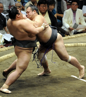 MasunoyamaChiyohakuho