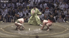 Miyanokaze's Fighting Style