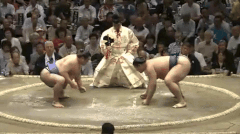 Tochinowaka's Fighting Style 2